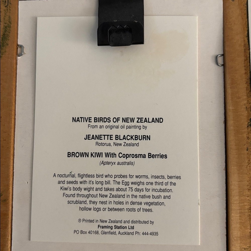 Set of Two Framed Native Birds of New Zealand - Picture 7 of 7